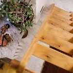 Casa Bicerin