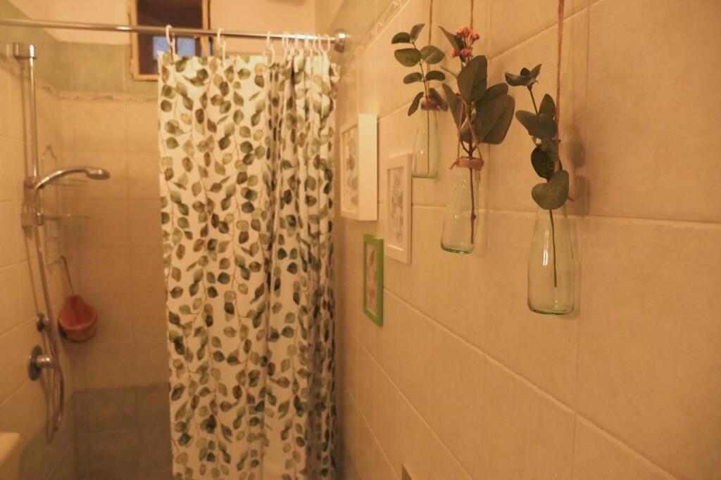 Casa Bicerin Apartment